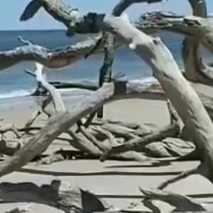 Meet your Posher, Ldg